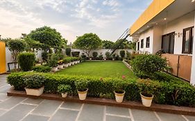 Lime Tree Studio Near Fortis Gurgaon